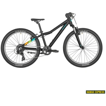 24 REVOX 24 BLACK 24" melns bergamont