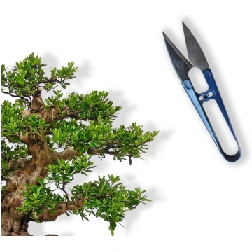 Scissors, Ref. 8021