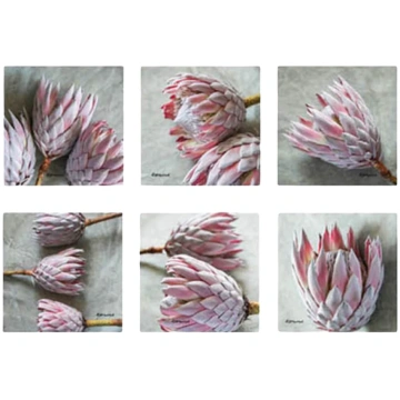 Painted Pink Protea Coasters (Set of 6) Light Hear
