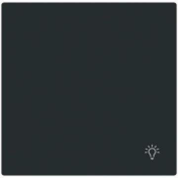 Rocker with legend Symbol "light" for Switch/push 