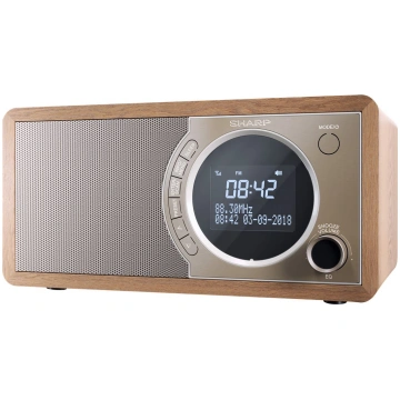 Sharp DR-450 - DAB radio DR-450(BR)