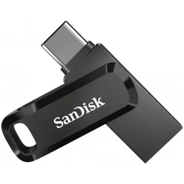 MEMORY DRIVE FLASH USB-C 256GB/SDDDC3-256G-G46 SAN