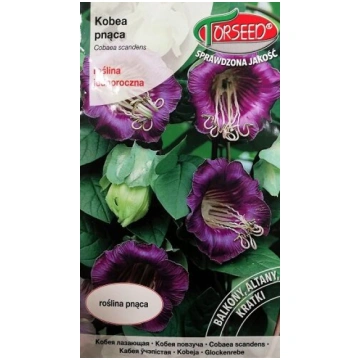 Kobejas violetas 0.8 g Torseed 10/2026; 10/2027(3)