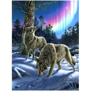 Puzzle Wolves and Lights Sunsout