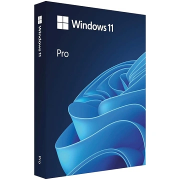 Microsoft Windows 11 Pro (USB) ANEB09V71FYGST