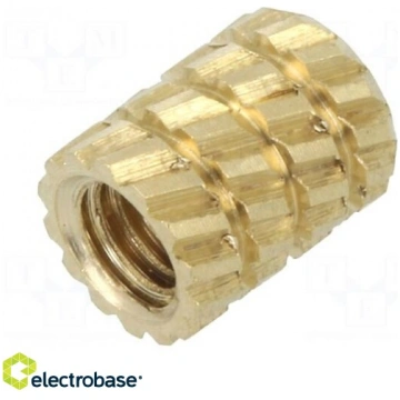 Threaded insert; brass; without coating; M3; L: 5.