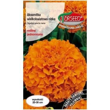 Samtenes zemās lielziedu oranžas 0.5 g Torseed 10/
