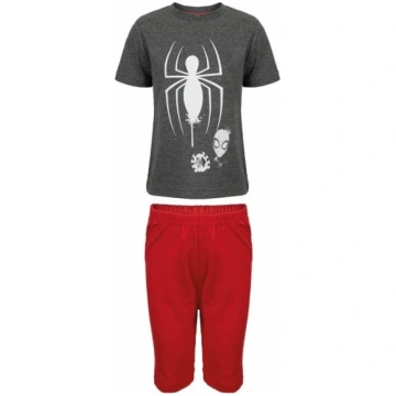 SPIDER-MAN Pidžama, pelēka/sarkana, 122-128 ERVE