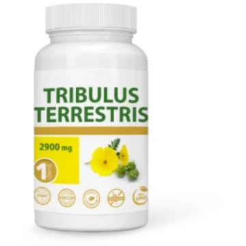 testosterona līmeņa paaugstināšana