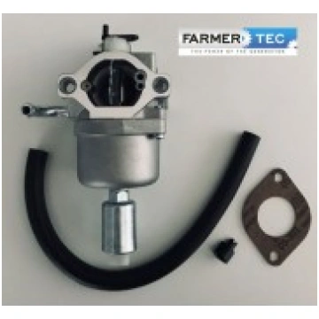 Karburators BRIGGS&STRATTON (591731, 594593, 79457