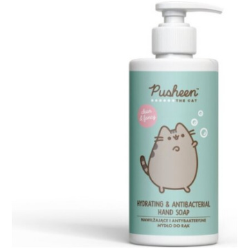 pusheen cat