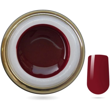 Gel colorato - 356 - Radicchio 5ml Plinio Nails