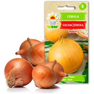 TORAF Sochaczew Onion Vegetable Seeds, 5g Pack TO1