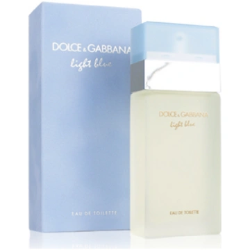 Dolce & Gabbana Light Blue EDT 100ml / 73705207432