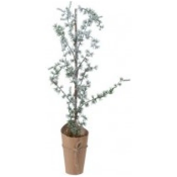 ZIEMASSVĒTKU LAPEGLE 680514 1GAB. 45CM KAEMINGK
