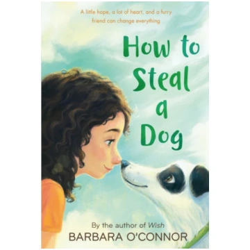 How to Steal a Dog O"Connor, Barbara