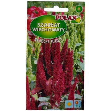 Amarants skarainais Polan
