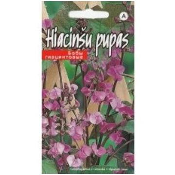 Kurzemes Sēklas Sēklas hiacinšu pupas 5s