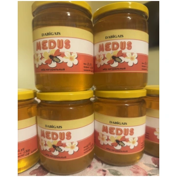 Vasaras medus 0,5 l Ziedkalnes stropi
