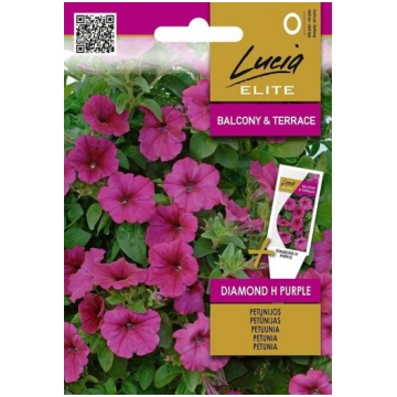 Petūnijas Diamnon H, violetas Lucia Elite