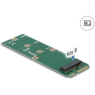 Delock Adapter mSATA to M.2 Key B slot 64109