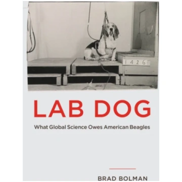 Lab Dog Brad Bolman