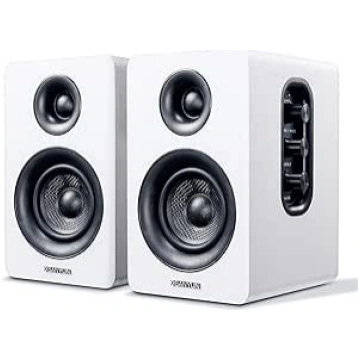 Sanyun SW208 3 collu aktīvie Bluetooth 5.0 plaukta