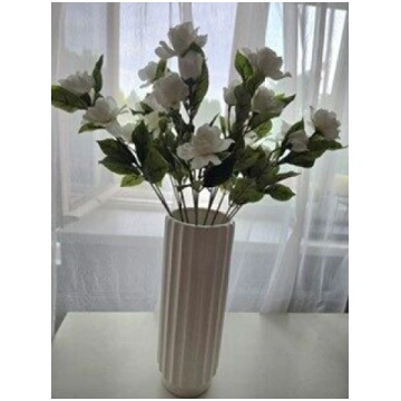 rozes baltas n67