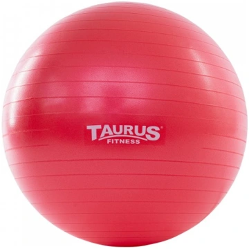 Taurus Anti-Burst Gymnastic Ball 55 cm