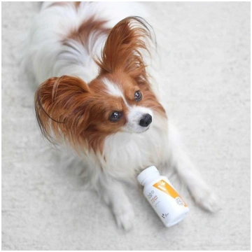 VETEXPERT Immune System - immune support preparati