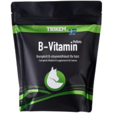 vitamins-b-zirgam