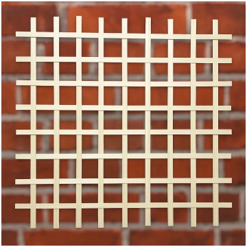 Skalu siets kaļķa/māla apmetumam 50x50 mm, 1000x10