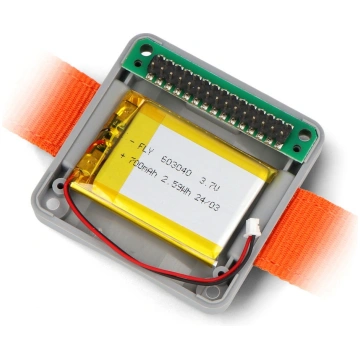 Watch Development Kit - a set for building a watch