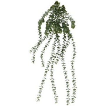Eikalipta pušķis piekarams 96 cm 4living 411194