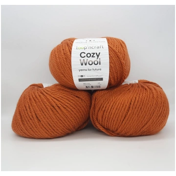 Cozy Wool Mattone 100gr - 4 Gomitoli
