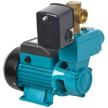 Hidrofors WZI 250 ar piederumiem (0,25 kW, 230 V)