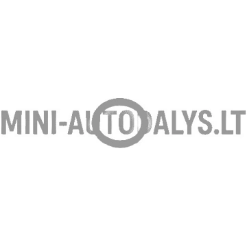 Eļļas sūknis ar blīvgredzenu - caurule Lombardini 