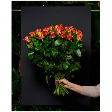 Oranžas divkrāsu rozes 30 - 40 cm - 39