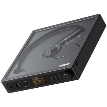 FiiO DM15 R2R