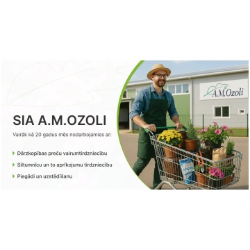 Lavandula stoechas Butterfly Garden Early Summer I