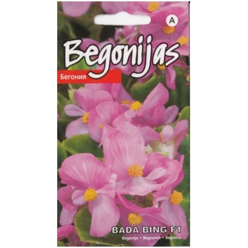 Begonijas - leduspuķes Bada Bing F1 15 sēklas
