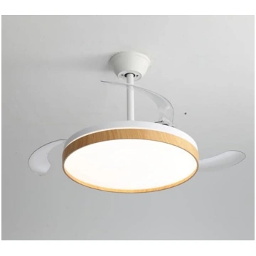 ZMISHIBO Deckenventilator mit Licht 106 cm,unsicht