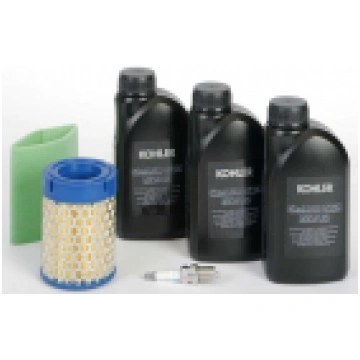 Kit entretien RKS2 pour moteur Kohler CH395 et CH4