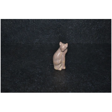 Gatto girato I Tesori della Terra