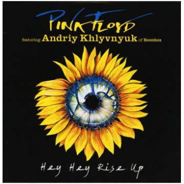 Vinila plate (LP) PINK FLOYD FEATURING ANDRIY KHLY