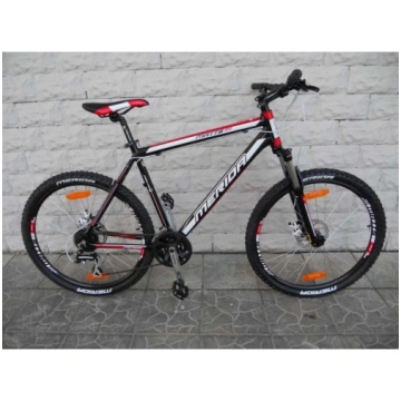 Merida Matts 6.20 D