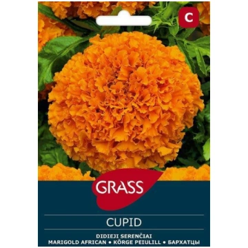 Lielo serenču sēklas CUPID, 0,5 g