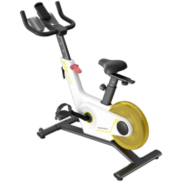 Kingsmith Sprint Exercise Bike