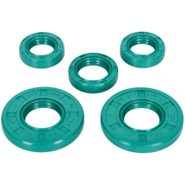 Oil Seals Schmitt Evolution FKM with twist directi