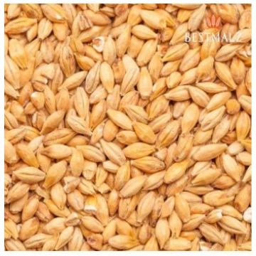 Skābenais miežu iesals (Vācija) - 1kg IE-014